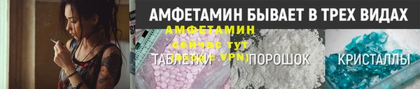 ГАЛЛЮЦИНОГЕННЫЕ ГРИБЫ Бородино