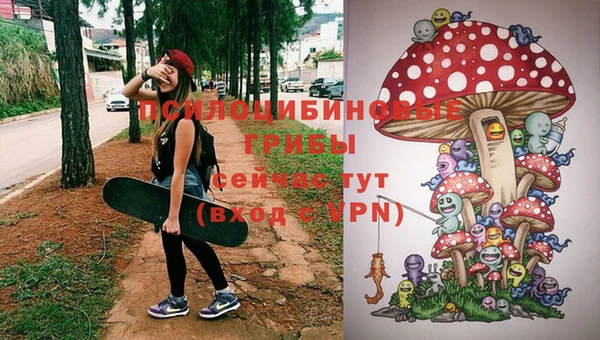альфа пвп Нефтекумск
