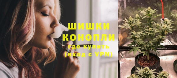 ПСИЛОЦИБИНОВЫЕ ГРИБЫ Нея