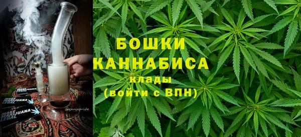 ПСИЛОЦИБИНОВЫЕ ГРИБЫ Нея