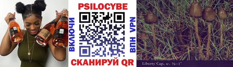 Псилоцибиновые грибы мицелий  Жуков 